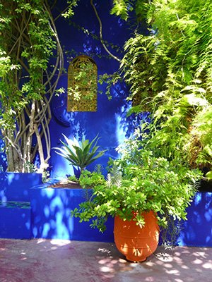 Attachment parenting on the move - low budget backpacking travel with babies and young children - Le Jardin Majorelle, Marrakesh. Morocco
